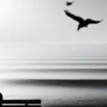 دانلود ریمیکس رپ پوریا دالوند و علی سورنا خدا هم علاج منه غمگین نمکه