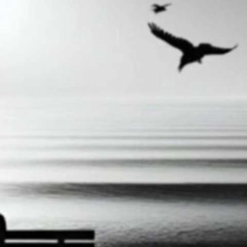 دانلود ریمیکس رپ پوریا دالوند و علی سورنا خدا هم علاج منه غمگین نمکه