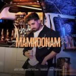 دانلود آهنگ امیر لیام ممنونم