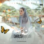 دانلود ریمیکس دی جی داریوش مالمیر تهران بست 943