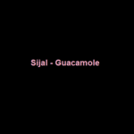 دانلود آهنگ سیجل و دیاتا Guacamole