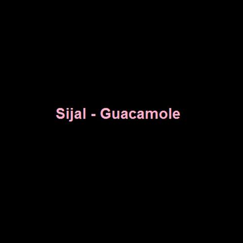 دانلود آهنگ سیجل و دیاتا Guacamole