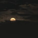 دانلود آهنگ امید و پارسا و آریان هنوزم میون من و تو یه عشق کوتاهه