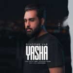 دانلود آهنگ یاشا دیوونه وار