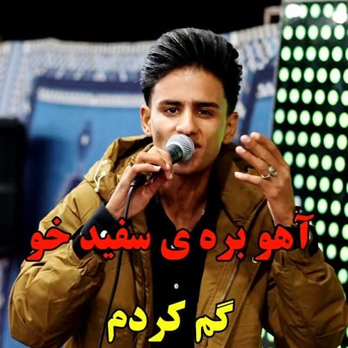 دانلود آهنگ آرمین دوراندیش آهو بره ی سفید خو گم کردم