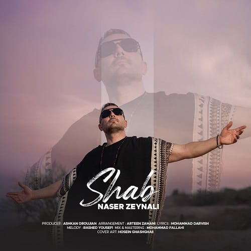 دانلود آهنگ ناصر زینعلی شب