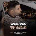 دانلود آهنگ امیر شهرایینی بی سرو پا دل