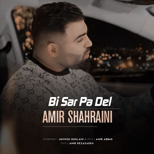 دانلود آهنگ امیر شهرایینی بی سرو پا دل