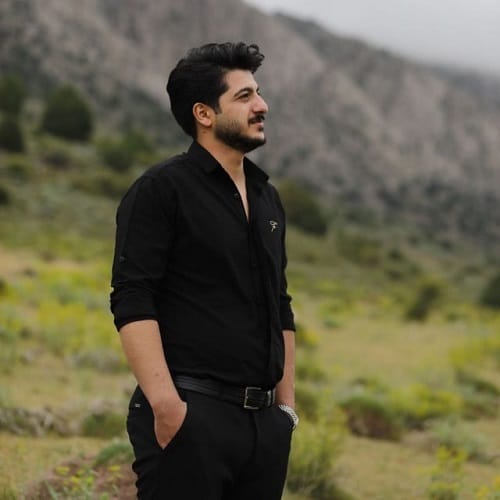 دانلود آهنگ امیر سیاوشی دلبر