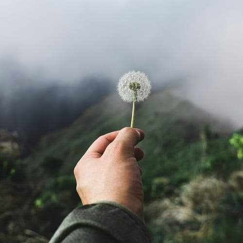 دانلود آهنگ مروارید دور گردنت خودم دیدم میبندی ریمیکس