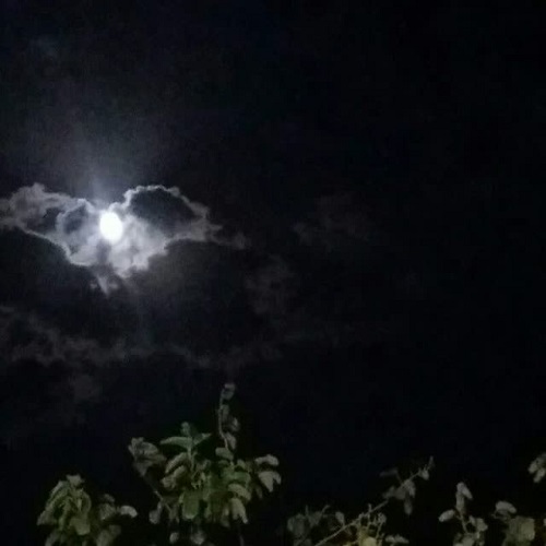 دانلود آهنگ هوش مصنوعی کیمسه سورماز حالیمی