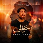 دانلود آهنگ از دستم عاصی شدن تو این حوالی (امیر لیام حوالی)