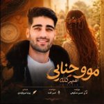 دانلود آهنگ امیر کله مو حنایی دانلود آهنگ امیر کله مو حنایی
