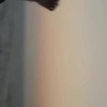 دانلود آهنگ یارا زاهد تو همون نور تو تاریکی شب های منی