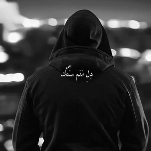 دانلود آهنگ هونام میشه یه روزی یه جوری دل منم سنگ ولی نه اندازه تو - آلیس موزیک