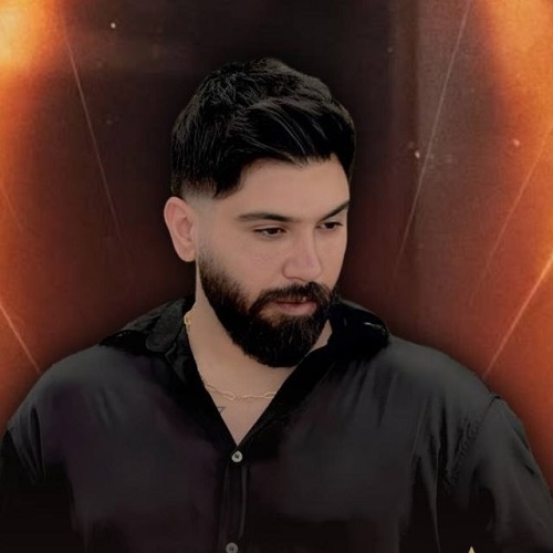 دانلود آهنگ مجید احمدی زندونی - آلیس موزیک