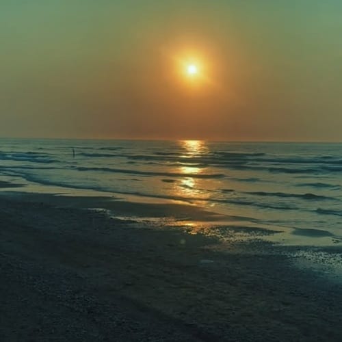 دانلود آهنگ ندیم بیا ببین حالم بده چی به روز من اومده - آلیس موزیک