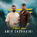 دانلود آهنگ امیر شهرایینی پری جان