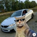 دانلود آهنگ برار برار مه برار جیگر مه کارد خور واکنک بزن به جیگرمه