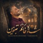 دانلود آهنگ شاه خانم تبرزین ابی عالی