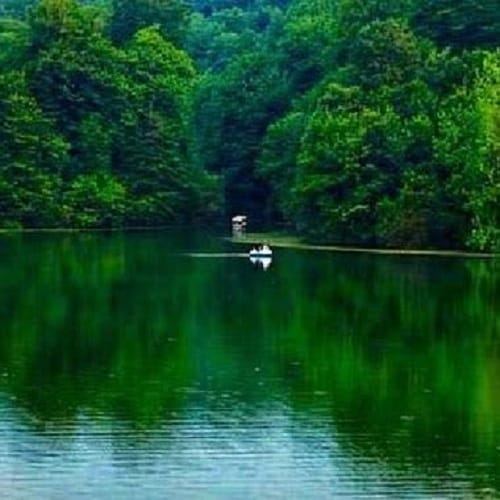 دانلود آهنگ فرووال (هوش مصنوعی) دریاچه نور - آلیس موزیک