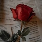 دانلود آهنگ این کیه اومده امینه پسر رفیق مامان حلیمه