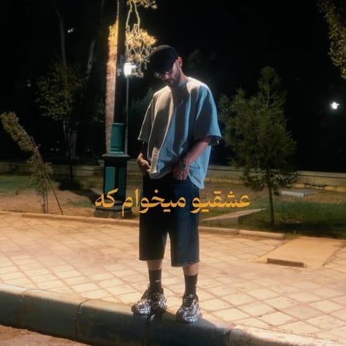 دانلود آهنگ امیر جنایت مگه میشه - آلیس موزیک