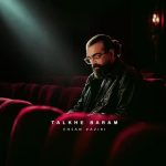 دانلود آهنگ احسان وزیری تلخه برام بی تو شبا دل نگرونم