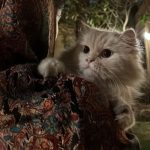 دانلود آهنگ فرووال دل اسیره (هوش مصنوعی)