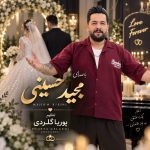 دانلود آهنگ مجید حسینی عروس دومادا