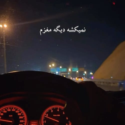 دانلود آهنگ رضا شیری شاید همین روزا سکته کنم نمیکشه دیگه مغزم - آلیس موزیک