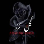 دانلود آهنگ محمد پتی آبادی گل رز