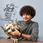 دانلود آهنگ مهدی سون تو مثل گلی ناز و خوشگلی