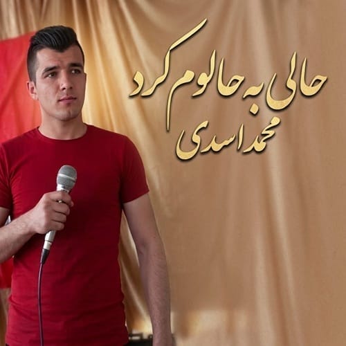 دانلود آهنگ محمد اسدی حالی به حالوم کرد - آلیس موزیک