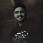 دانلود آهنگ رضا هاشمی دل من