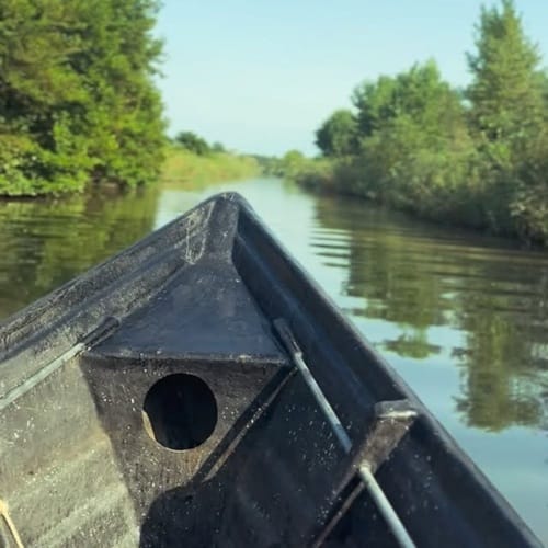 دانلود آهنگ تو که کار میکنی نون آور خونه ای صبح زود پا میشی - آلیس موزیک